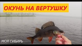 Окунь клевал как сумасшедший! Рыбалка на таёжном озере.