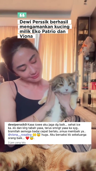 Dewi Perssik secures Eko Patrio's cat which was previously beaten