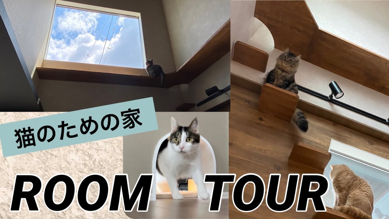 【ルームツアー】多頭飼い猫の為に建てたお家を紹介します。