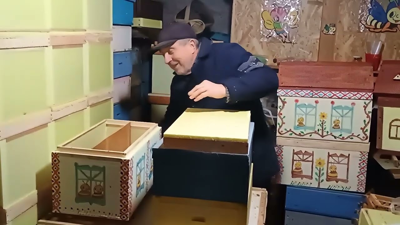 Отримання пакетів та відводків у шестирамочних вуликах ЕППС