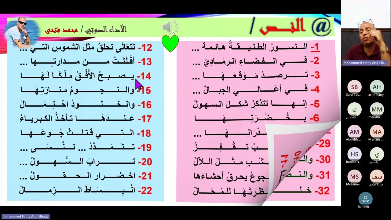 شرح نص النسور من المدرسة الواقعية   3ث 2024م