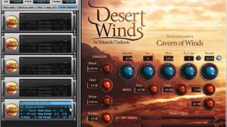 Best Service Desert Winds Library Review