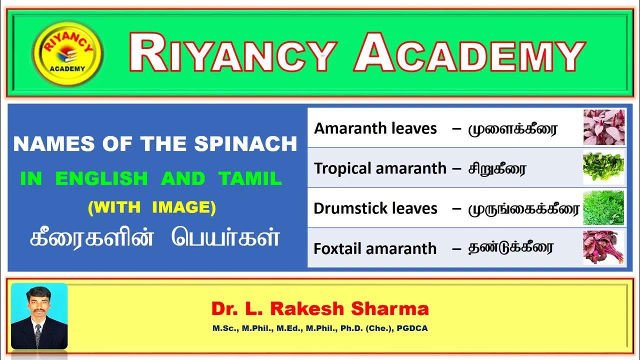 spinach-names-in-english-and-tamil-youtube