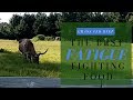 Grass Fed Beef- The Best Fatigue Fighting Food