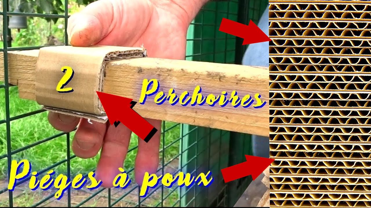 Comment Faire Un Pondoir Incline