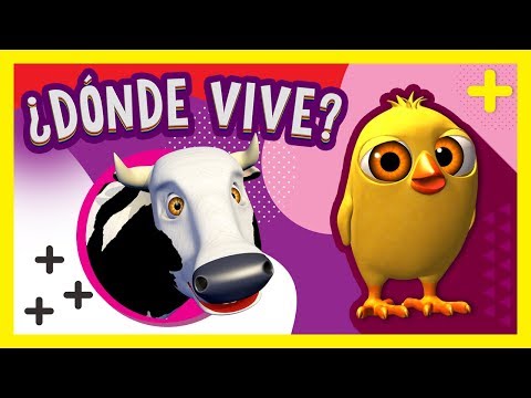 Video: ¿Dónde vive Karyn Polito?