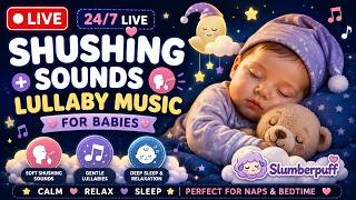 12 Hours Shushing Sound + Soft Lullaby Music for Baby Sleep 🌙🍼