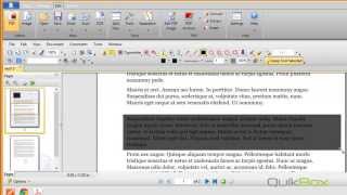 Enterprise Organizer - How to redact or hide confidential information on Native PDFs