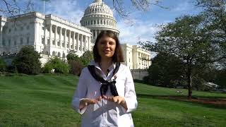 Elevate Your Campaign: SIC Group USA LLC - Expert Election Campaign Services