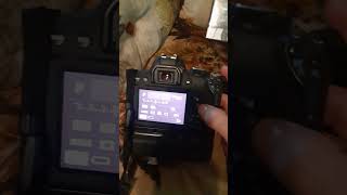 Card cannot be accessed-easy fix for Canon Cameras-How to clean contacts in a T6i