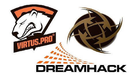 Dog predicts results in DHW Semifinal : Virtus.pro - NiP
