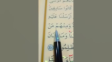 سورة العنكبوت الأية 39 إلى 40 بصوت سعد الغامدي