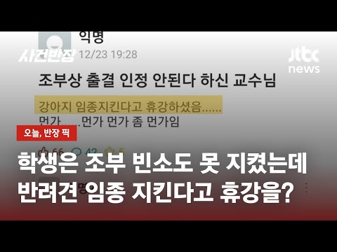 조부상엔 출결 인정 안 한 교수님, "강아지 임종 지킨다고 휴강" / JTBC 사건반장