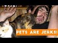 Animals are Jerks Funny Pet Compilation   Funny Pet Videos