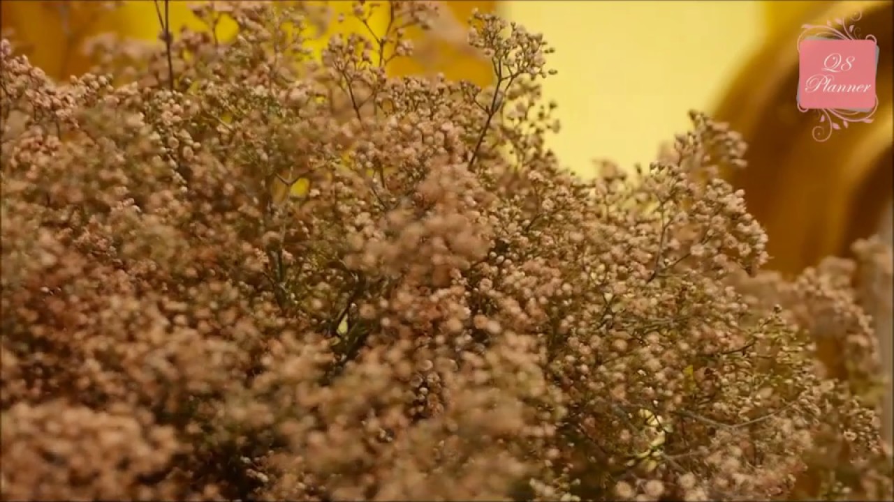 Q8 Planner - Stand Wedding