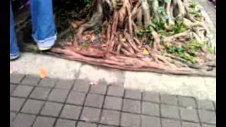 20140513立法院4