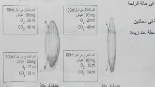 لايف السنة 1 متوسط اختبار الفصل الثاني