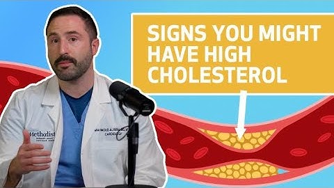 Understanding Cholesterol: HDL, LDL and More | Houston Methodist