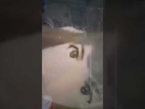 الملاذ الاخير موت الكس روكا