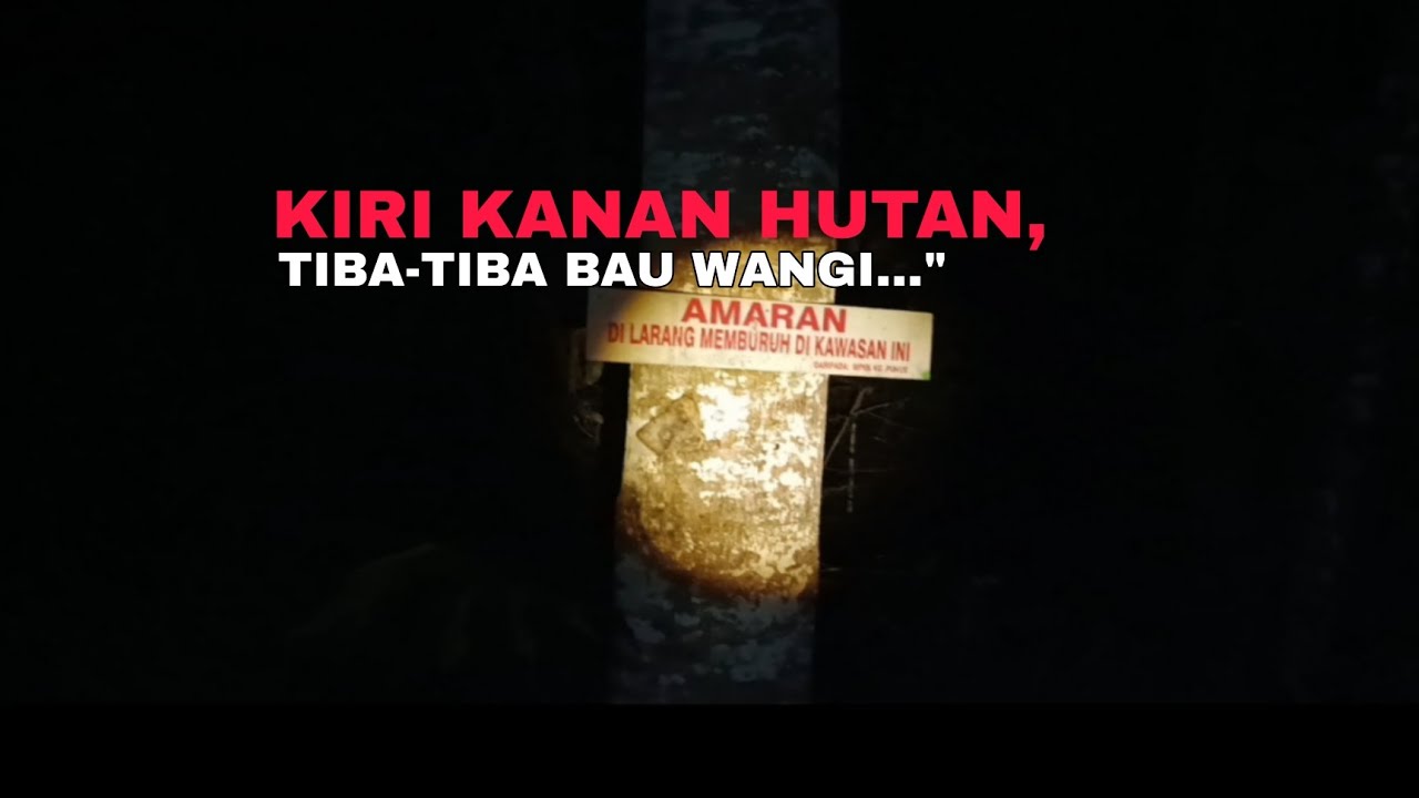 Misteri Jalan Hutan: Siapa penunggu hutan ni?😱
