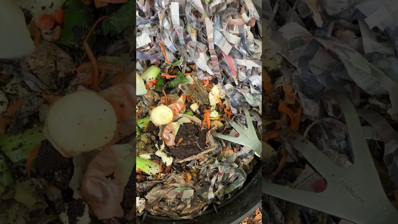 Можно ли использовать лук в компостной яме с червями?