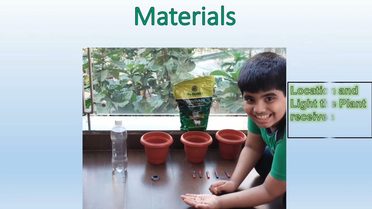 Smt Sunitidevi Singhania School Std 5 Prajwalan YouTube