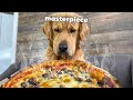 My golden retriever orders pizza without me