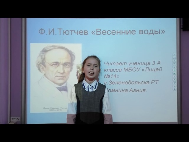 Изображение предпросмотра прочтения – Агния Домнина читает произведение «Весенние воды (Еще в полях белеет снег…)» Ф. И. Тютчева