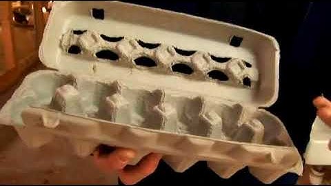 How to Read Chicken Egg Carton Labels