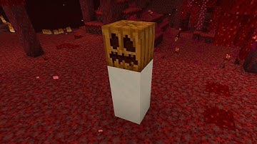 what happen if we made snow golem in nether