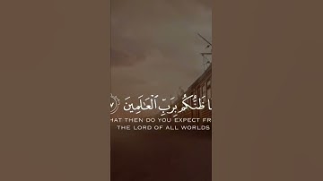 #القرآن_الكريم #القرآن #القران_الكريم #آيات #التفاؤل