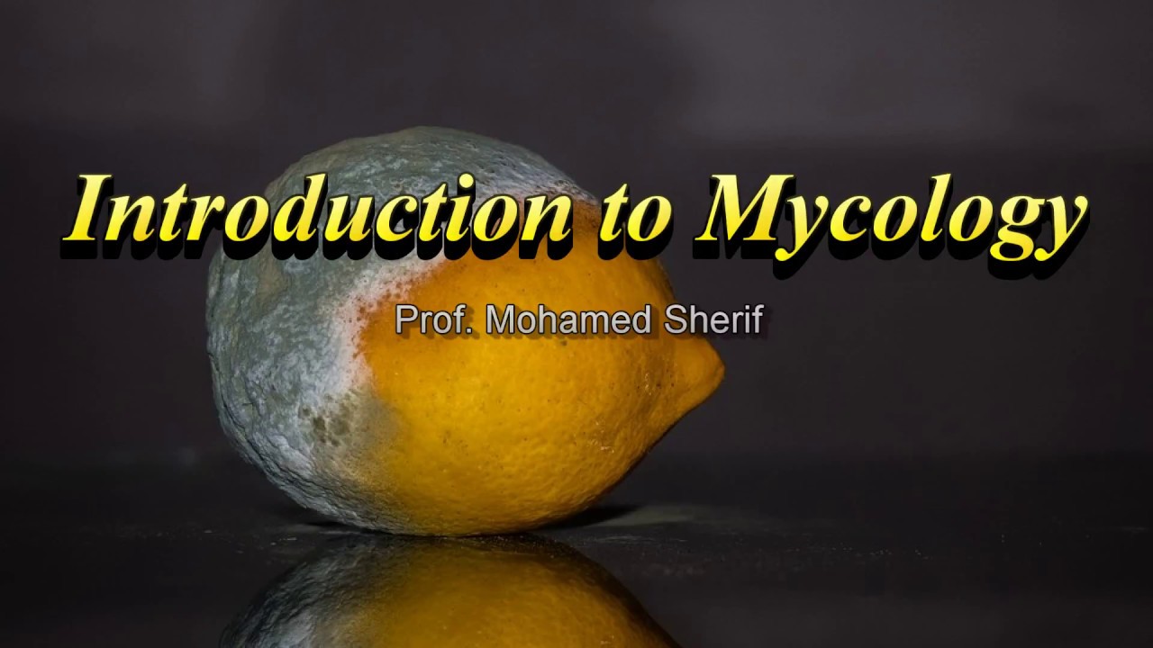 Introduction to Mycology - مقدمة عن علم الفطريات