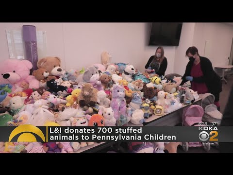 Video: Zaznamenané krabice darovaných 