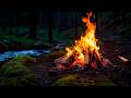 Forest Campfire By The Stream Crackling Fire Night Nature Sounds For Deep Relaxation 4K 