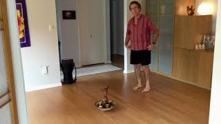 Pourquoi Circle Dance