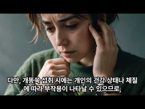 면역력에 좋은 개똥 쑥의 효능