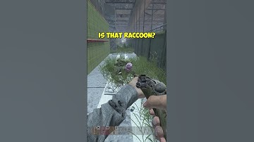 WHEN YOU MEET AN OLD FRIEND IN DAYZ