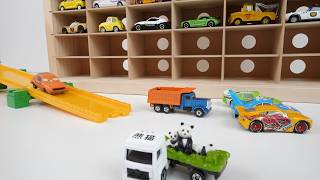 Over 40 miniature cars ☆ Miniature car collection storage case