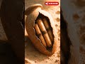 The Nag Hammadi Library | The Buried Gospels of Egypt #History #Archaeology #Mystery #Shorts