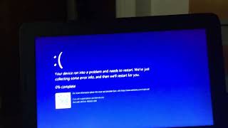 Dora has BSOD 2
