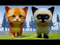 Симулятор Сумасшедшего Котенка #2 Кот Зомби, рыжий и сиамский Котик в Kitten Madness на пурумчата