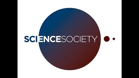 Deciphering Quantum Gravity with Quantum Computing, Machine Learning, and Holography by Dr. Rinaldi