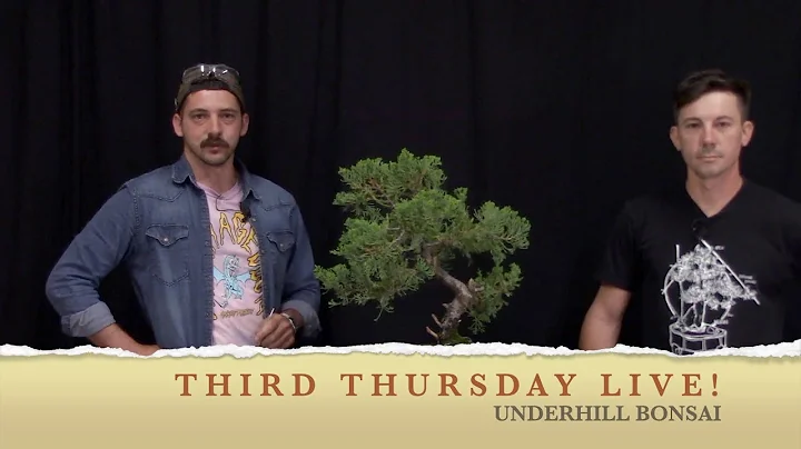 Third Thursday LIVE Junipers with Evan Pardue and ...