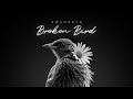 Broken bird / Swanaryn / Electro dance