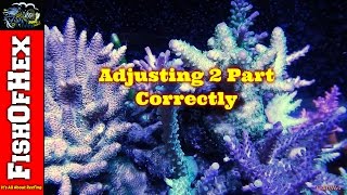 When To Increase Your 2 Part Dosing Amount Dosing Guide