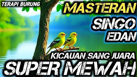 TERAPI UNTUK SEMUA JENIS BURUNG , SUARA GEMRICIK AIR , MASTERAN SUPER MEWAH SANG JUARA SINGO EDAN