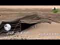 جديد جرة ياعين صدي عن المرقاب كلمات ابو غازي الزبيدي اداء العازف مبارك الطارش الشمري 