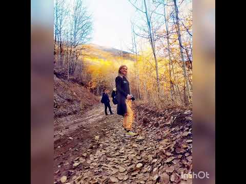 Dersim munzur Pülümür