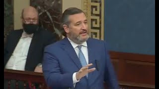 Ted Cruz caught lying about relief bill, INSTANTLY humiliated on Senate floor