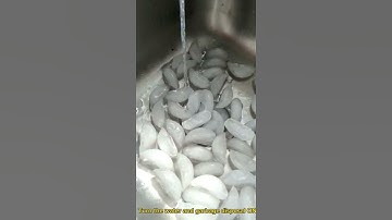 How to clean garbage disposal with ice? #cleaninghacks #garbagedisposal  #cleaning #homecleaning